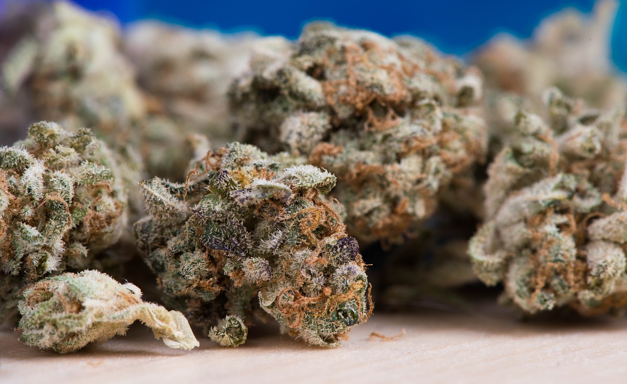Proposed Amendments to Michigan’s Medical Marijuana Act Add New Definitions